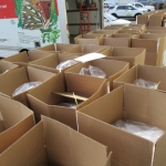 202103 shipping4.jpg